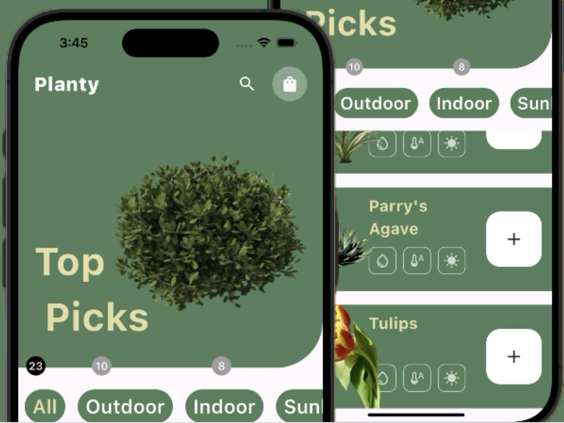 Planty